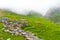 Green terraced fields and traditional architecture in the ancient Tibetan Nar village