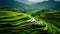 Green Terraced Rice Field in Mu Cang Chai, Vietnam, Generative AI