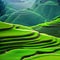 Green terraces beautiful landscape of Asia. AI Generated.