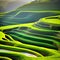 Green terraces beautiful landscape of Asia. AI Generated.
