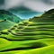 Green terraces beautiful landscape of Asia. AI Generated.