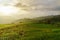 Green Terraces rice field in Pa Pong Pieng