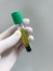 Green test tube Anticoaglant lithium heparin