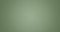 green texture, swamp background. Jade colors abstract herbal background for designer.