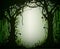 Green thicket rain-forest, deep fairy forest silhouette,