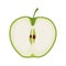 Green thin slice of apple. Isolated vector sliced fruit in flat style. Summer clipart for design