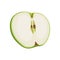 Green thin slice of apple. Isolated vector sliced fruit in flat style. Summer clipart for design