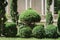 Green thuja and boxwood topiary bushes