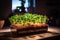 Green Thumb Delight: Box of Homegrown Juicy Microgreens - Generative AI