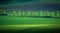 Green and tirquoise spring field abstract background