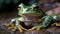 Green toad in tropical rainforest, looking away generated by AI