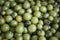 Green tomatoes closeup