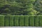 Green topiary wall for separating and zoning garden to different room and utility purpose