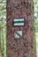 Green tourist mark on a tree trunk. Walking path background. Tree trunk with signs for navigating in the forest. Guide sign made