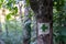 Green tourist sign in deciduous woods , shallow depth of field