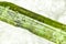 green Tourmaline