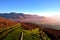 Green tracks down to Braithwaite