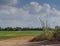 Green tractor mowing the meadow and spraying young crops, Israel