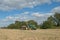 A green tractor with a seed drill in a stubble field