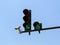 Green traffic light with digital timing countdown and traffic security camera surveillance CCTV against blue sky. Modern