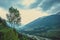 Green tree on a background gray clouds creeping through the Kullu valley