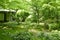 Green tree, backyard and traditional Japanese house