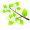 Green Tree Branch Icon