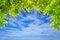 Green tree branches leaves frame on blue sky and clouds nature background