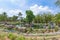 Green tree in the center of a beautiful pond in the tropical park. Gardening