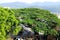 Green tree in dongao island