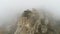 Green tree on edge of cliff in fog. Shot. Stone pillar on rock immersed in dense fog. Mystical atmosphere of autumn fog