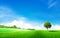 Green tree with grass meadow field and little hill with white clouds and blue sky in summer seasonal.