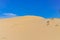 Green tree and grass on sand dunes under sunny blue cloud sky in Nam Cuong, Phan Rang, Viet Nam