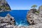 Green tree growing on a bare rock above a blue sea