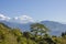 Green tree on a hillside on the background of the mountain valley of Annapurna under a clear blue sky. Nepal Himalaya