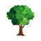 Green tree isolated on a white background. Vector tree. Detail for game design