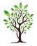 Green Tree Logo