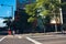 Green tree in the middle of thee street, city of Denver Colorado USA