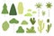 Green Tree and Plants with Bush, Palm and Cactus Big Vector Set