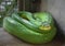 Green tree python Morelia viridis In the nick.