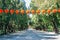 Green tree road and hanging chinese lanterns at Temple of Earth, Ditan Park in Beijing, China