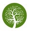 Green tree round icon