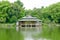 Green tree, traditional Japanese house, garden and water pond