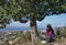 A green tree under which a girl sits with a laptop