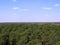 Green trees in a beautiful endless forest top view of the horizon