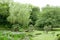 Green trees, bridge, flowers in Japanese park