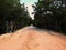 Green trees and bushes in bridge with brown sand dune road