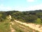 Green trees and bushes with brown sand dune road