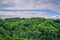 Green trees in cloudy weather