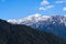 Green trees in a forest with a view of huge snowy mountain